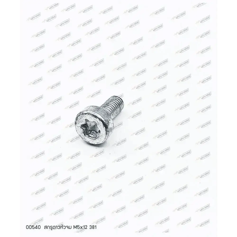 00540 สกรูดาวหัวจม M5x12 MS381