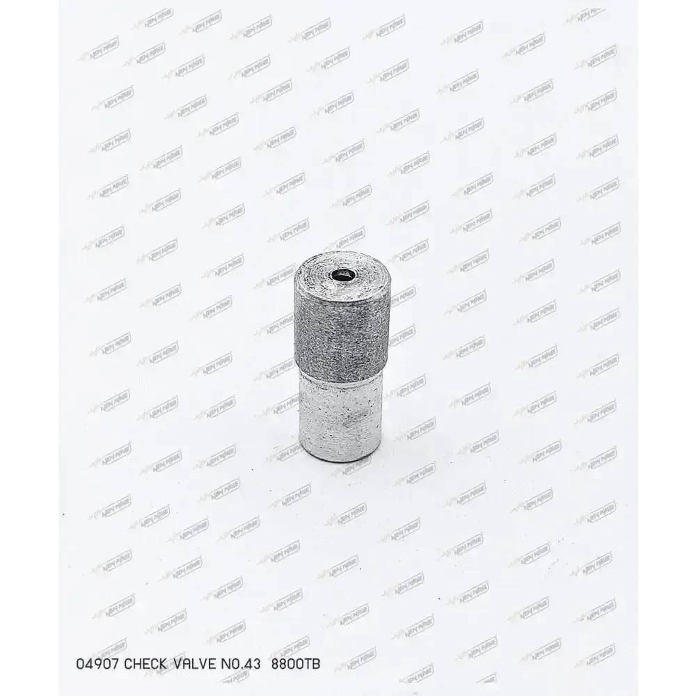 04907 CHECK VALVE NO.43 8800TB