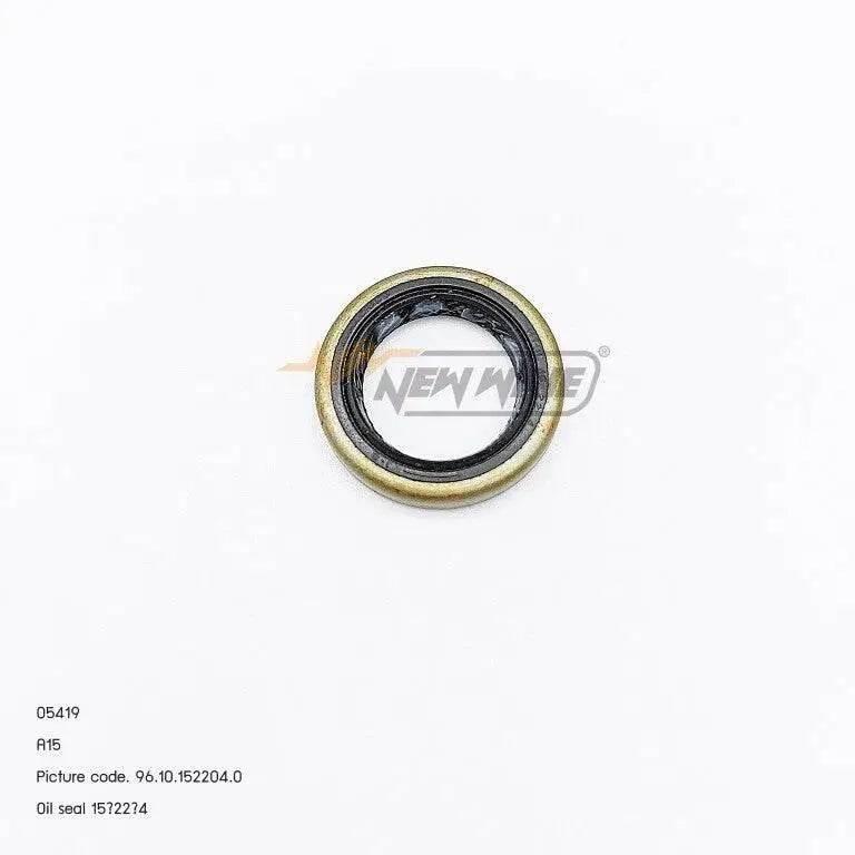 05419 ซีล 9800 A15 (15x22x4)