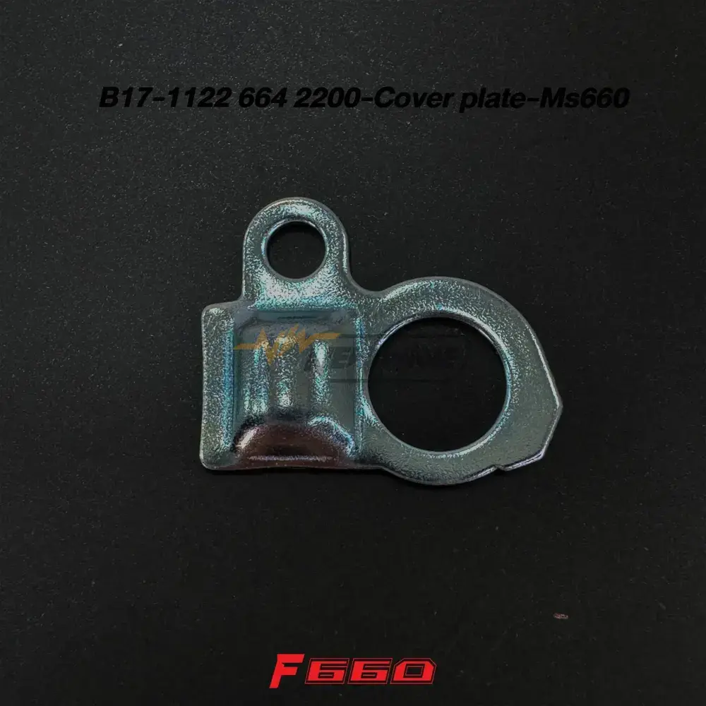 B17-1122 664 2200-Cover plate-Ms660