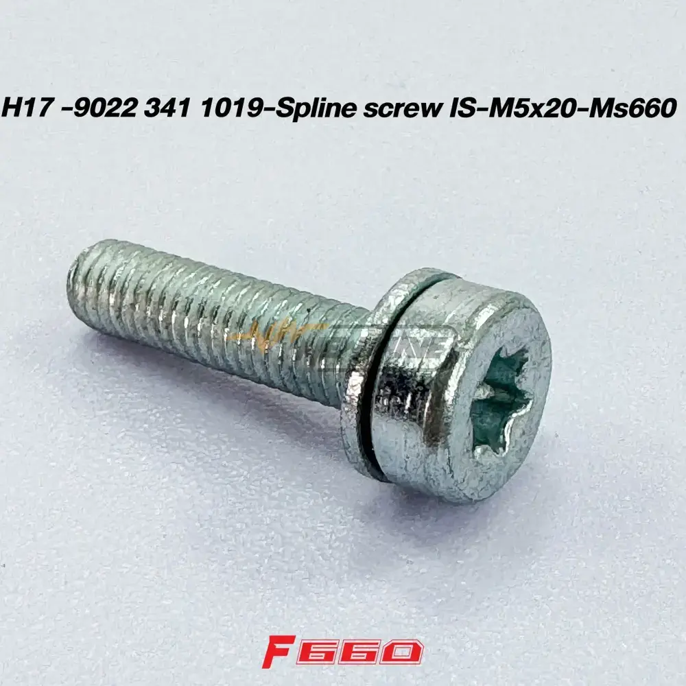 H17 -9022 341 1019-Spline screw IS-M5x20-Ms660