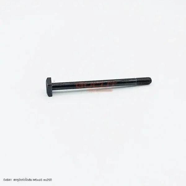 04841 สกรูยึดท่อไอเสีย M5x65 MS250