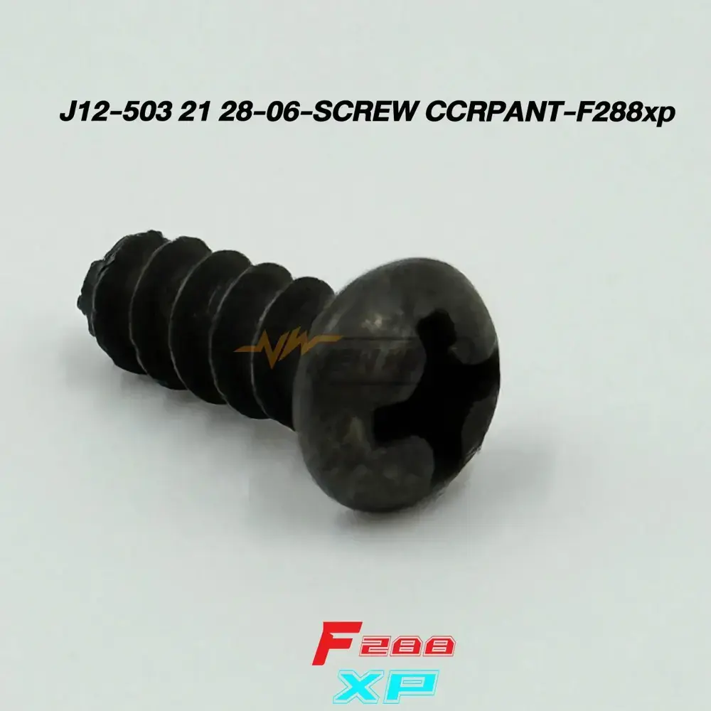 J12-503 21 28-06-SCREW CCRPANT-F288xp